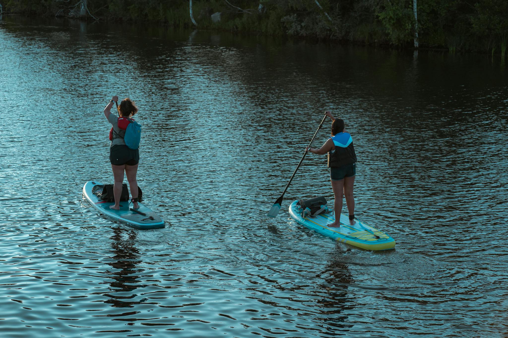 Two women enjoying paddleboarding on a tranquil lake surrounded by nature.