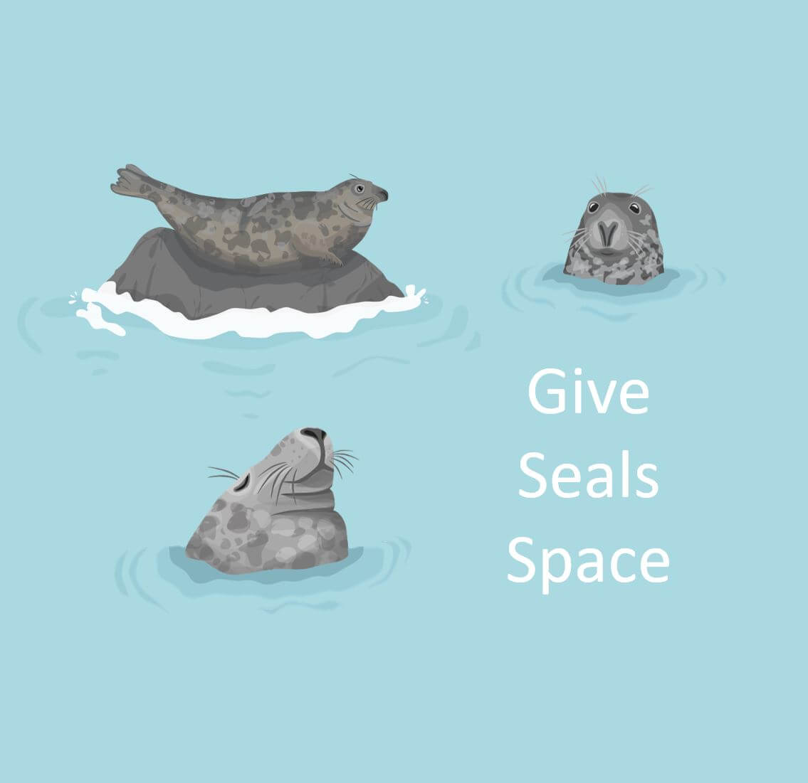 Give seals space